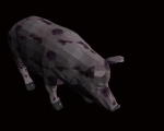 3D Pig