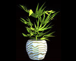 3D Plant 011