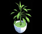 3D Plant 012