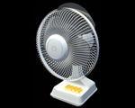 Fan 01