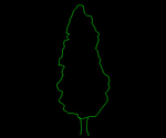 Tree 011A