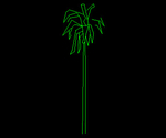 Palm 000A