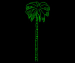 Palm 004A