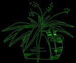 Plant 031A