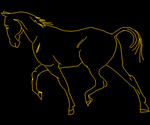 Horse 003