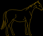 Horse 004