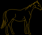 Caballo 004