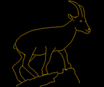 Mountain Goat 001