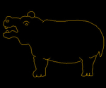 Hippopotamus