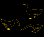 Patos
