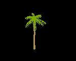 3D Palm 000