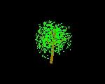 3D Tree 009